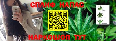 гашиш Можга