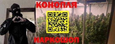 прущая мука Моздок