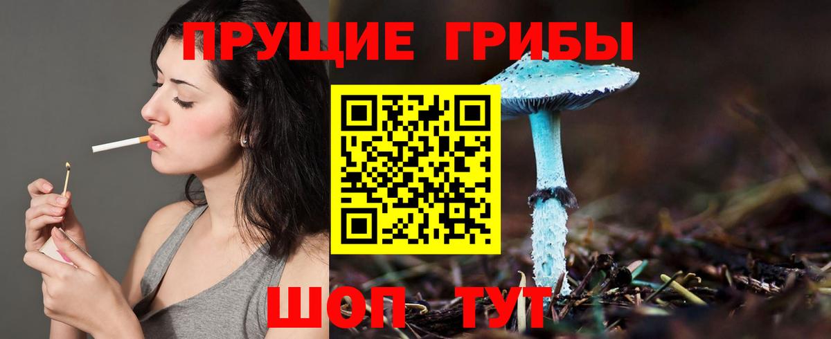 Чистополь  Галлюциногенные грибы мицелий  Вход с VPN 